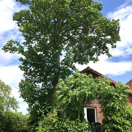 Wiesenblick Holiday home