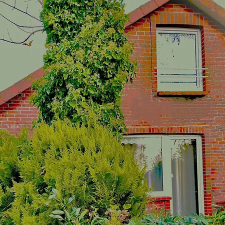 Wiesenblick *